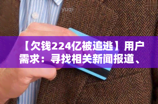 【欠钱224亿被追逃】用户需求：寻找相关新闻报道、法律解析和追逃进展信息