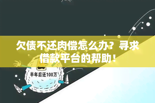 欠债不还肉偿怎么办？寻求借款平台的帮助！