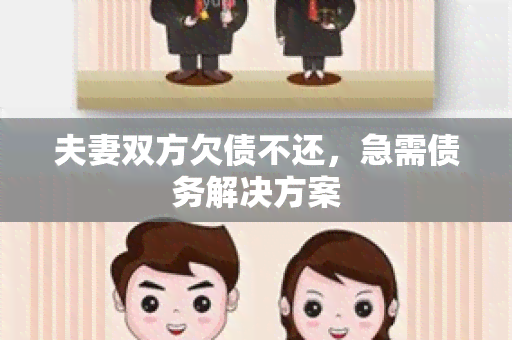 夫妻双方欠债不还，急需债务解决方案