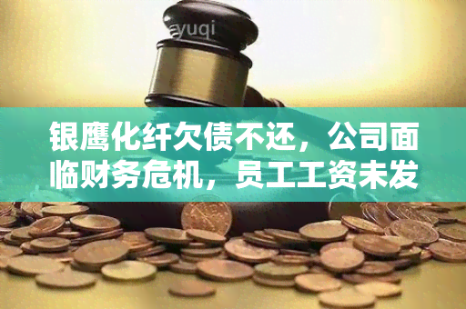 银鹰化纤欠债不还，公司面临财务危机，员工工资未发放