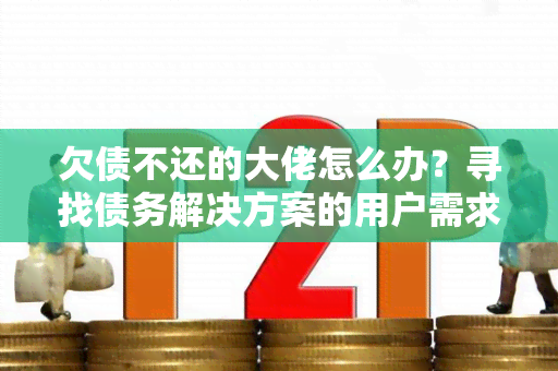 欠债不还的大佬怎么办？寻找债务解决方案的用户需求