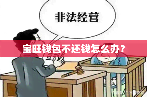 宝旺钱包不还钱怎么办？