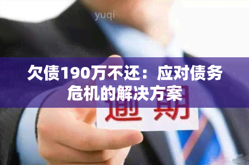 欠债190万不还：应对债务危机的解决方案