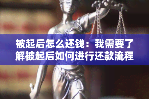 被起后怎么还钱：我需要了解被起后如何进行还款流程？