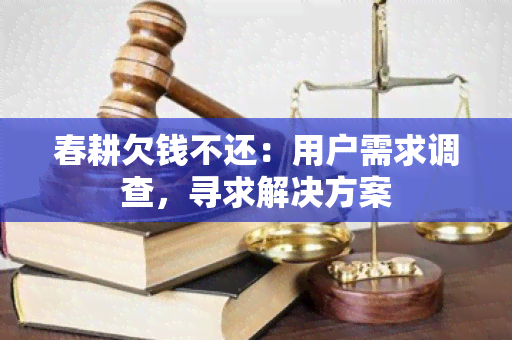 春耕欠钱不还：用户需求调查，寻求解决方案