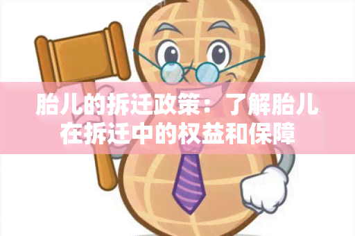 胎儿的拆迁政策：了解胎儿在拆迁中的权益和保障