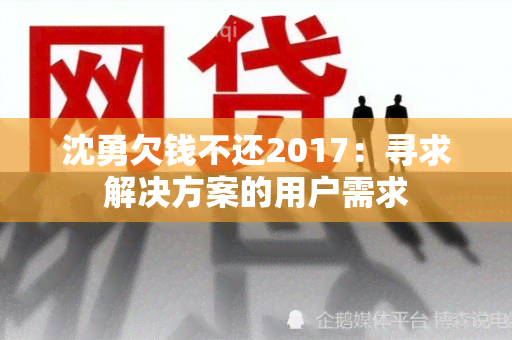 沈勇欠钱不还2017：寻求解决方案的用户需求