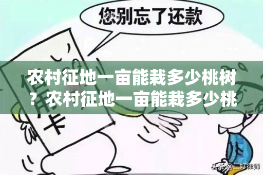 农村征地一亩能栽多少桃树？农村征地一亩能栽多少桃树？征地桃树一亩多少棵为标准。