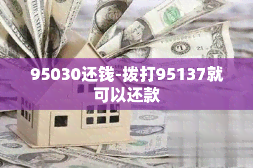 95030还钱-拨打95137就可以还款