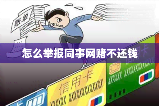 怎么举报同事网不还钱