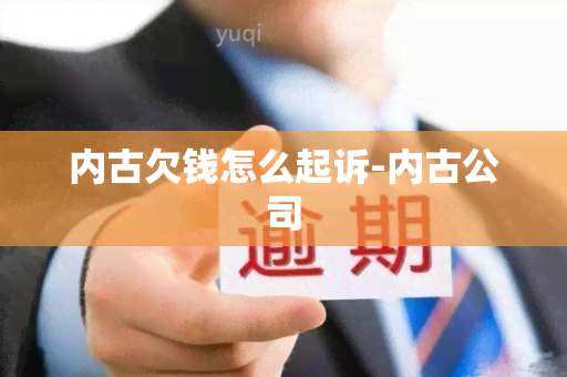 内古欠钱怎么起诉-内古公司