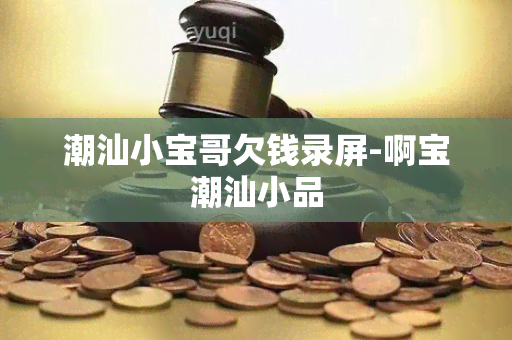 潮汕小宝哥欠钱录屏-啊宝潮汕小品