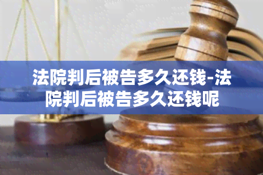 法院判后被告多久还钱-法院判后被告多久还钱呢