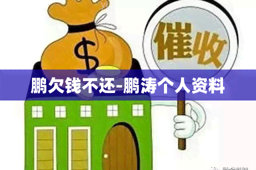 鹏欠钱不还-鹏涛个人资料