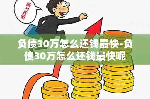 负债30万怎么还钱最快-负债30万怎么还钱最快呢