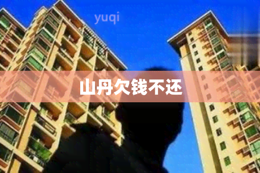 山丹欠钱不还