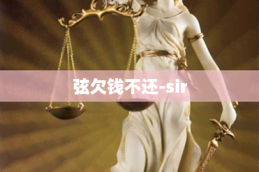 弦欠钱不还-sir