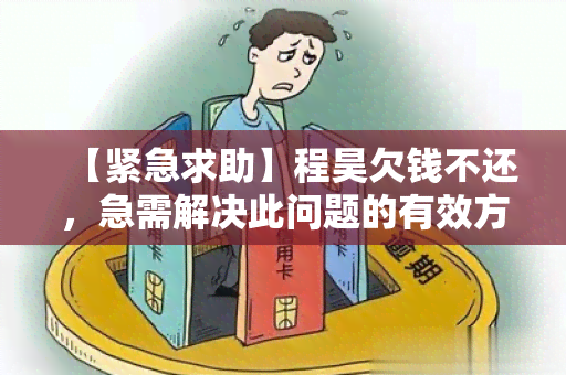 【紧急求助】程昊欠钱不还，急需解决此问题的有效方法！