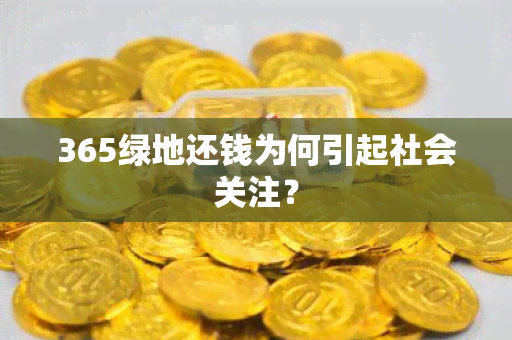 365绿地还钱为何引起社会关注？