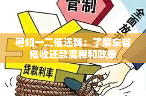 粤知一二催还钱：了解东省还款流程和政策