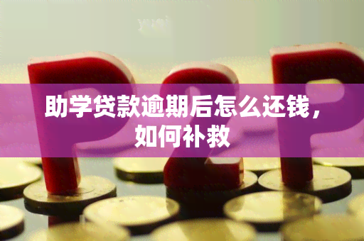 助学贷款逾期后怎么还钱，如何补救