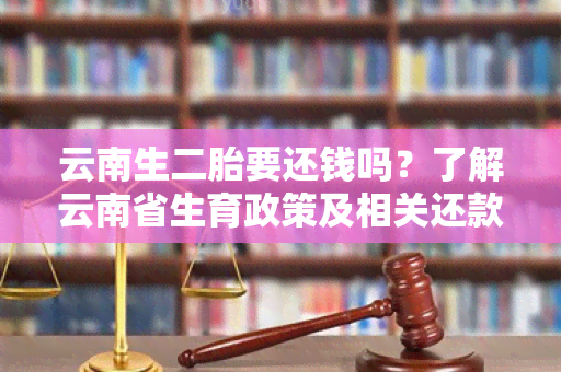 云南生二胎要还钱吗？了解云南省生育政策及相关还款规定