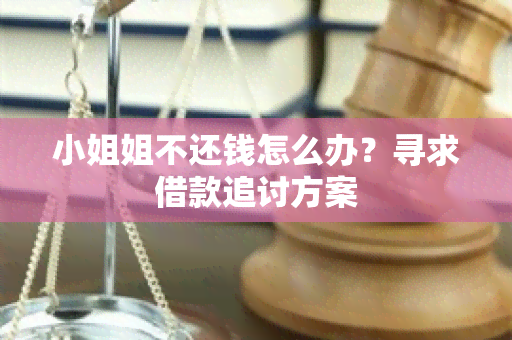  *** 姐不还钱怎么办？寻求借款追讨方案