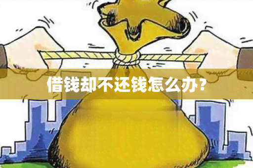 借钱却不还钱怎么办？