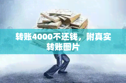 转账4000不还钱，附真实转账图片