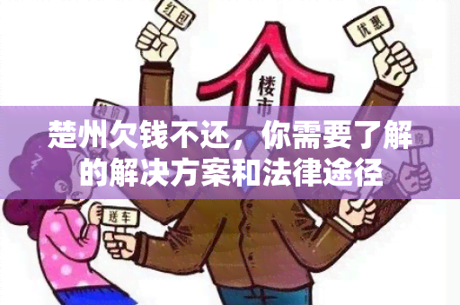 楚州欠钱不还，你需要了解的解决方案和法律途径