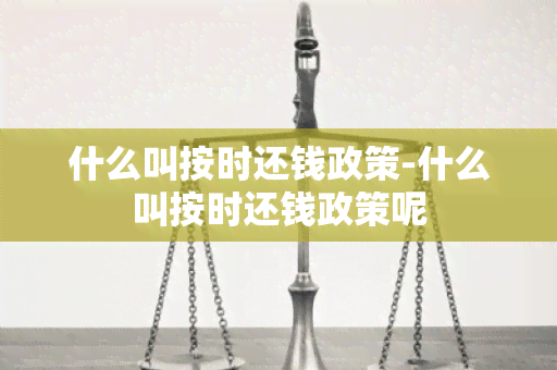 什么叫按时还钱政策-什么叫按时还钱政策呢