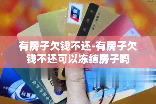 有房子欠钱不还-有房子欠钱不还可以冻结房子吗