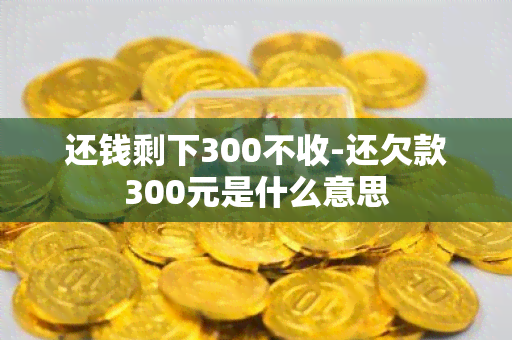 还钱剩下300不收-还欠款300元是什么意思