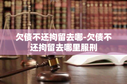 欠债不还拘留去哪-欠债不还拘留去哪里服刑