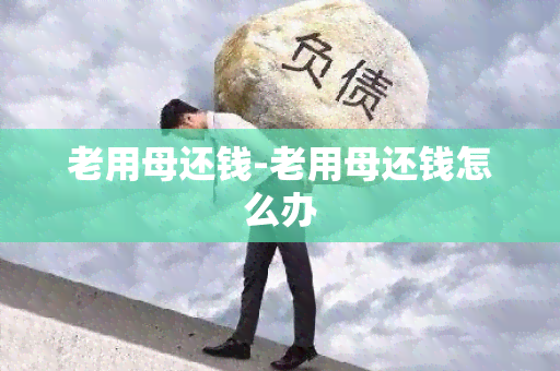 老用母还钱-老用母还钱怎么办