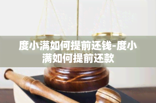 度小满如何提前还钱-度小满如何提前还款