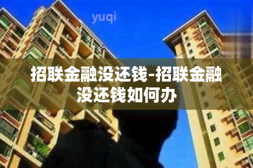 招联金融没还钱-招联金融没还钱如何办