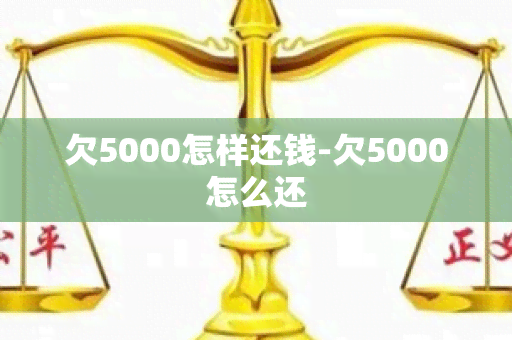 欠5000怎样还钱-欠5000怎么还