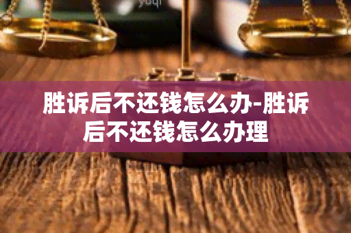 胜诉后不还钱怎么办-胜诉后不还钱怎么办理