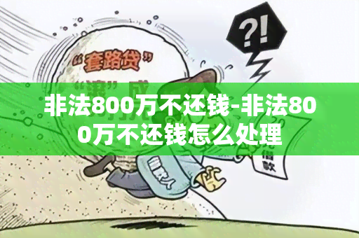 非法800万不还钱-非法800万不还钱怎么处理