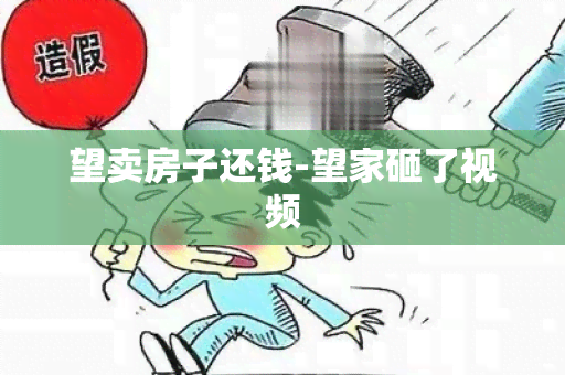 望卖房子还钱-望家砸了视频