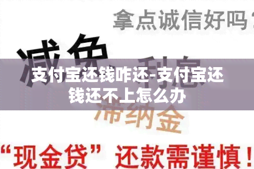 支付宝还钱咋还-支付宝还钱还不上怎么办