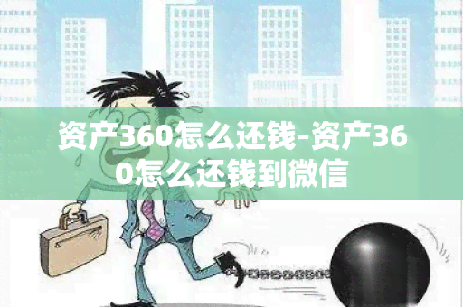 资产360怎么还钱-资产360怎么还钱到微信