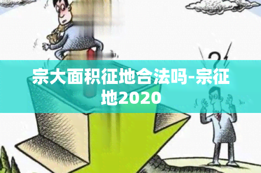 宗大面积征地合法吗-宗征地2020