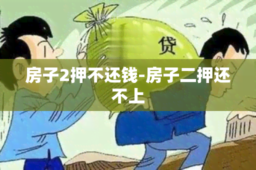 房子2押不还钱-房子二押还不上