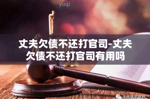 丈夫欠债不还打官司-丈夫欠债不还打官司有用吗