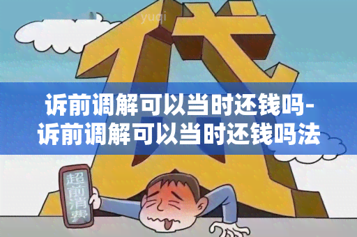 诉前调解可以当时还钱吗-诉前调解可以当时还钱吗法院