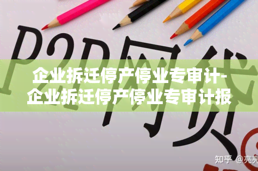 企业拆迁停产停业专审计-企业拆迁停产停业专审计报告