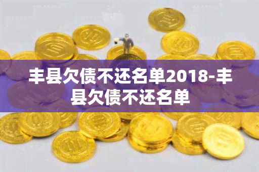 丰县欠债不还名单2018-丰县欠债不还名单