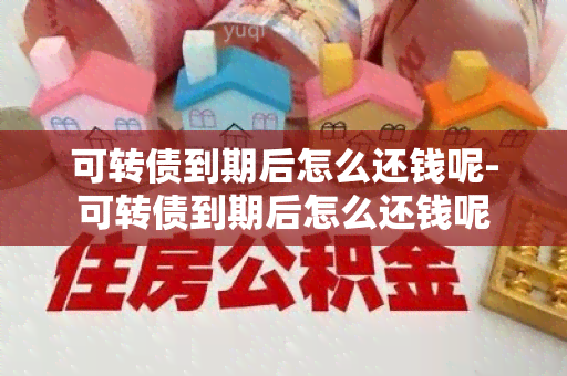 可转债到期后怎么还钱呢-可转债到期后怎么还钱呢